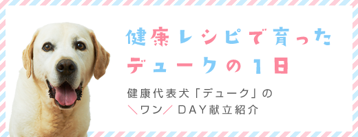 健康レシピで育った デュークの1日 健康代表犬「デューク」の＼ワン／DAY献立紹介