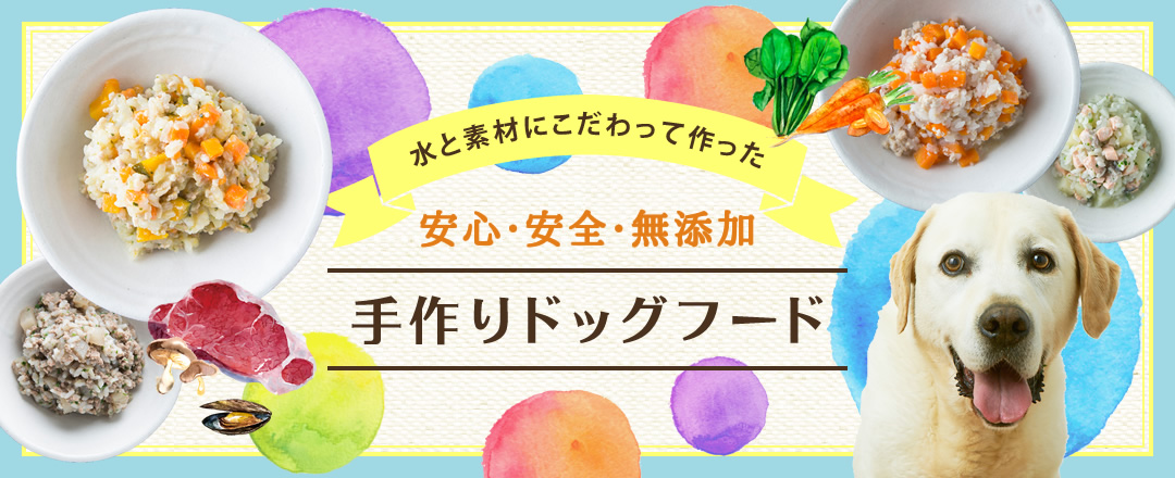公式 ドッグフード専門店 手作り犬ごはん 公式 ドッグフード専門店 手作り犬ごはん