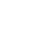 国産生鮭500gブロック（骨なし） 