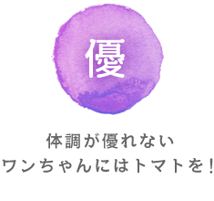 楽 体調が優れないワンちゃんにはトマトを！