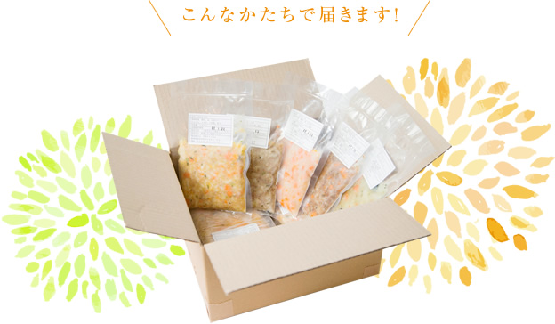 こんなかたちで届きます！