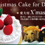 愛犬用クリスマスケーキ