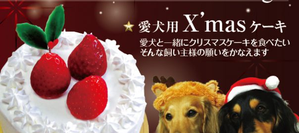 愛犬用クリスマスケーキ