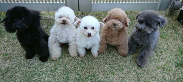 ありがとうございました