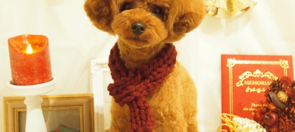 いつも美味しいご飯をありがとう