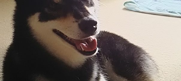 食べているときは 美味しすぎて白目むいてますよ