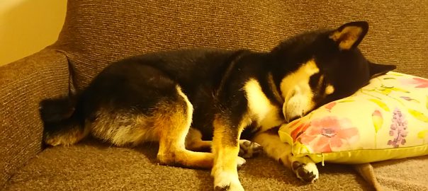 お陰様で、体の痒みもなくなりました