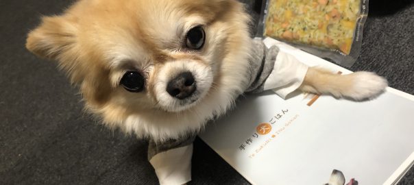 ドッグフード専門店　手作り犬ごはん