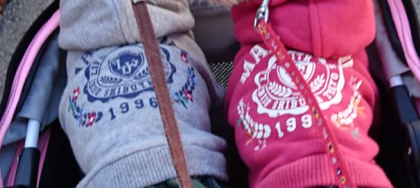 手作り犬ごはん