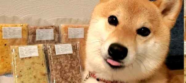 ドッグフード専門店　手作り犬ごはん