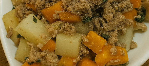 ドッグフード専門店　手作り犬ごはん