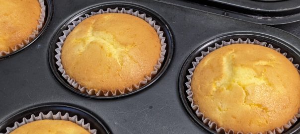 ドッグフード専門店　手作り犬ごはん