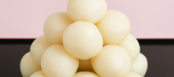 ドッグフード専門店　手作り犬ごはん